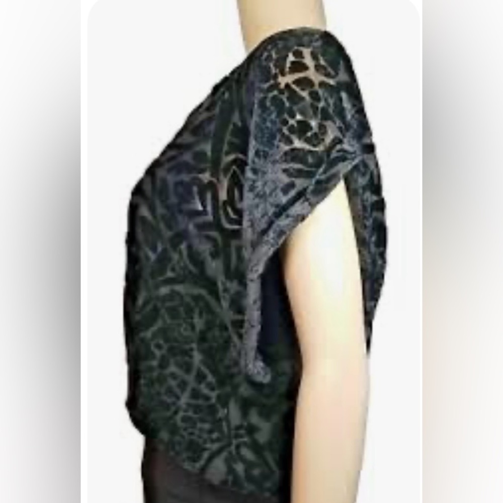 Joseph A. Black Velvet Rounded Floral/Leaf Print Collar Top - Size L‎ - Picture 2 of 12